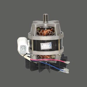 Silnik maszyny do cięcia trawy