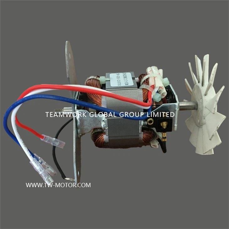 Household Hairdryer Motor