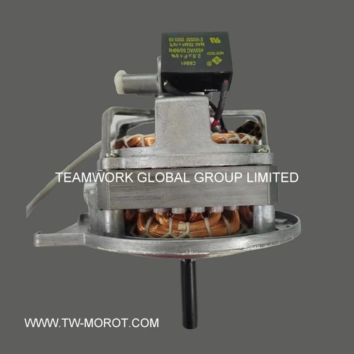 Household Ceiling Fan Motor