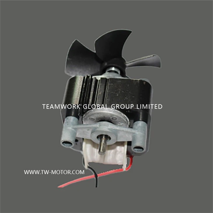 Electric Nebulizer Pump Motor